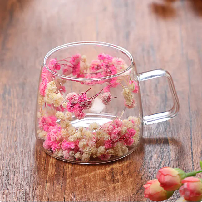 Dual-Wall Borosilicate Beverage Cup